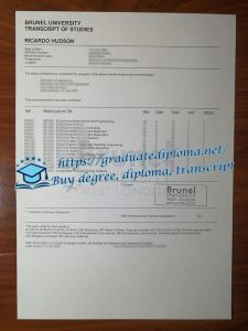 Brunel University London transcript