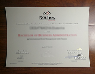 Les Roches diploma