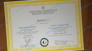Near East University diploma