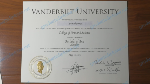 USA fake diploma