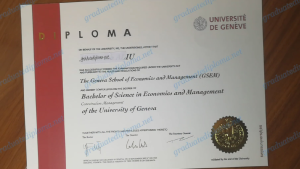 Université de Genève diploma