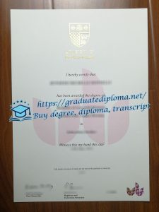 University of Bedfordshire diploma