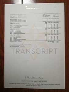 University of Brighton transcript