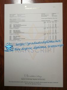 University of Brighton transcript