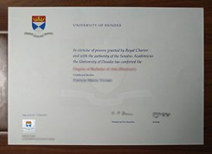 University of Dundee degree