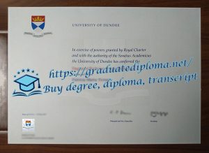 University of Dundee diploma