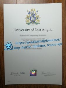 University of East Anglia diploma