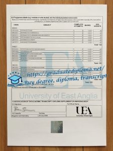 University of East Anglia transcript