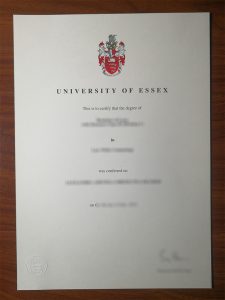 University of Essex degree