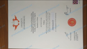 University of Johannesburg diploma