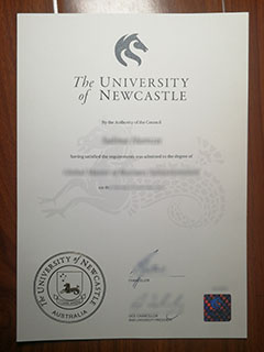 University of Newcastle degree