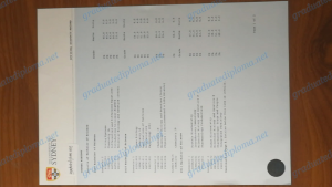 University of Sydney transcript