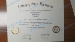 fake America diploma