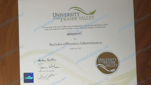 fake Canada diploma