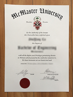 McMaster University degree