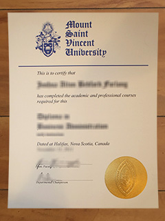 Mount Saint Vincent University degree