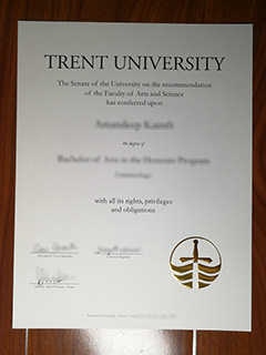 Trent University degree