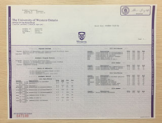 University of Western Ontario transcript