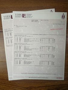 York University transcript