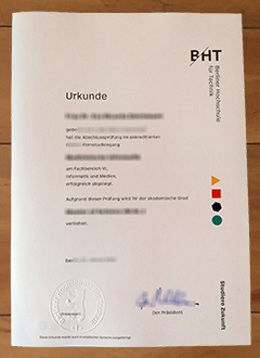 Berliner Hochschule für Technik degree