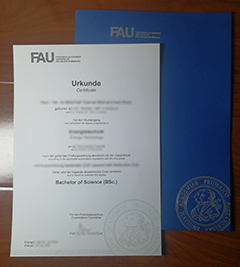 FAU Erlangen-Nürnberg degree