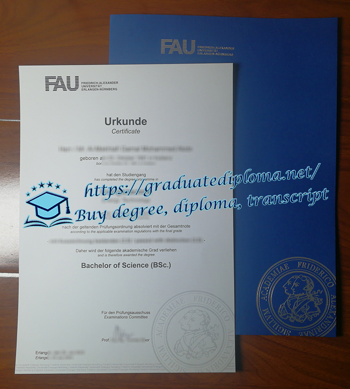 FAU Erlangen-Nürnberg diploma