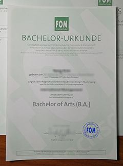 FOM University degree