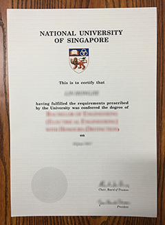 National University of Singapore degree