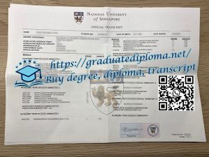 National University of Singapore transcript