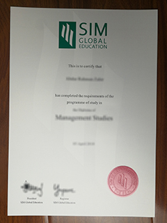 SIM Global Education degree