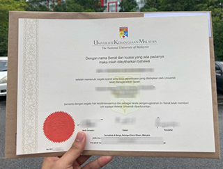 Universiti Kebangsaan Malaysia degree