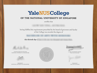 Yale-NUS College degree
