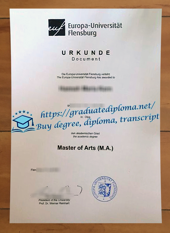Europa-Universität Flensburg diploma