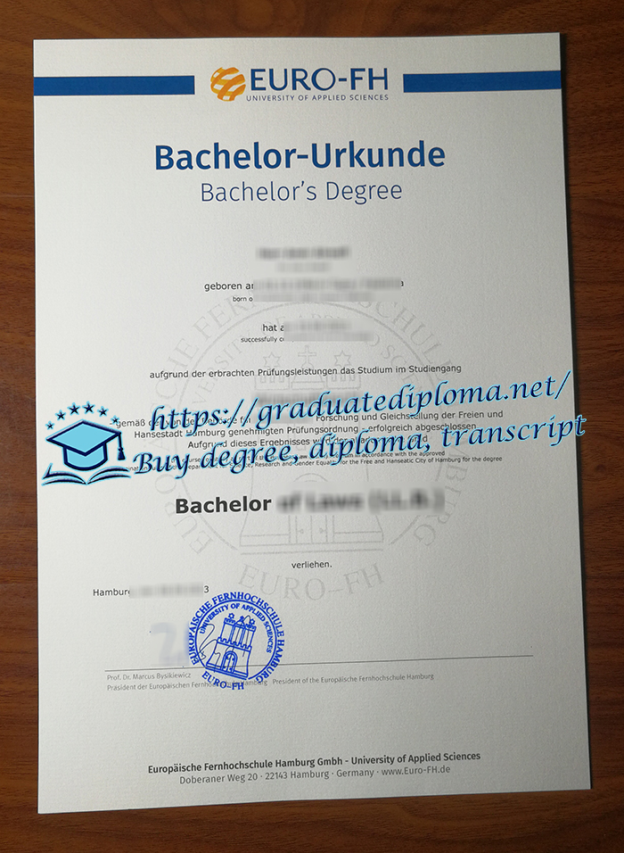 Europäische Fernhochschule Hamburg diploma
