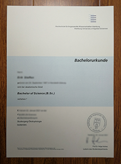 HAW Hamburg degree