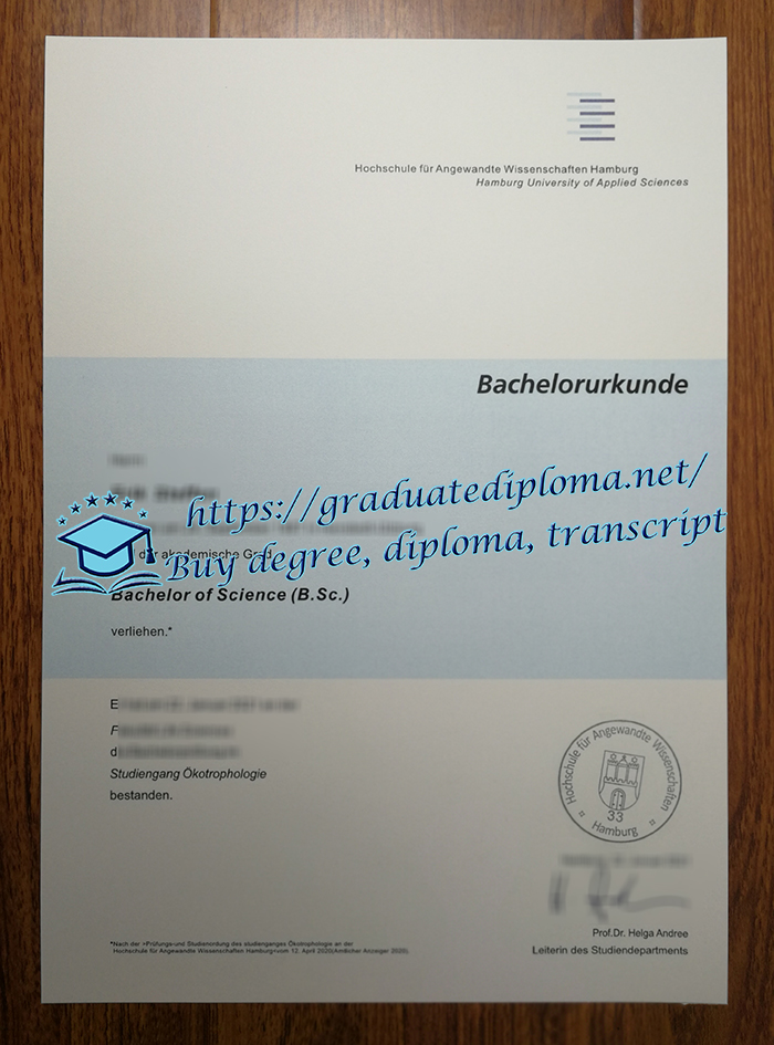 HAW Hamburg diploma