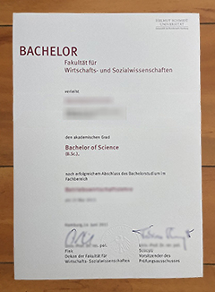 Helmut-Schmidt-Universität degree