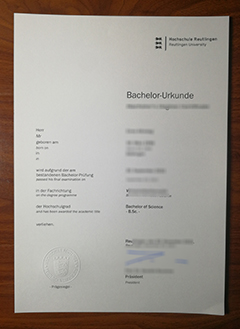 Hochschule Reutlingen degree