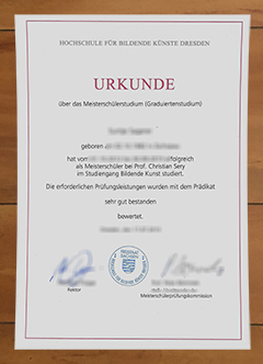 Hochschule für Bildende Künste Dresden degree