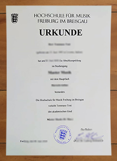 Hochschule für Musik Freiburg degree