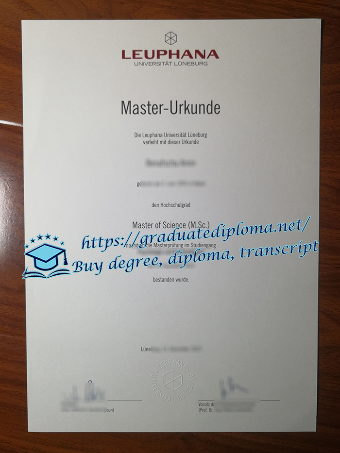 Leuphana Universität Lüneburg diploma