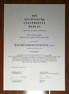 Technische Universität Berlin degree