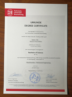 Technische Universität Braunschweig degree