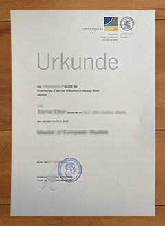 Universität Bonn degree