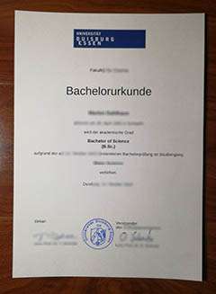 Universität Duisburg-Essen degree