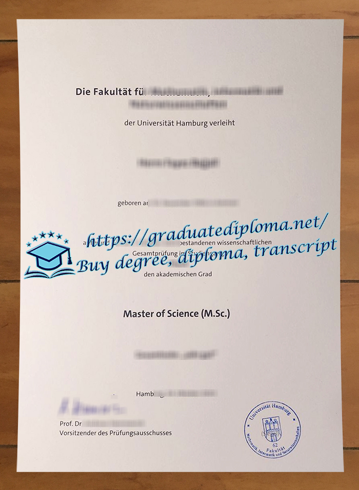 Universität Hamburg diploma