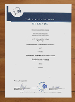 Universität Potsdam degree