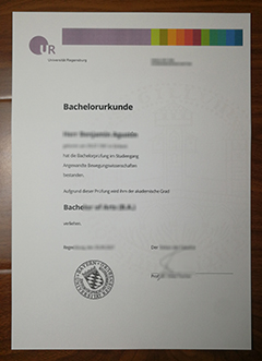 Universität Regensburg degree
