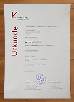 Universität Vechta degree