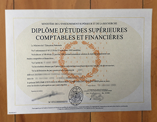 diplôme d'études comptables et financières